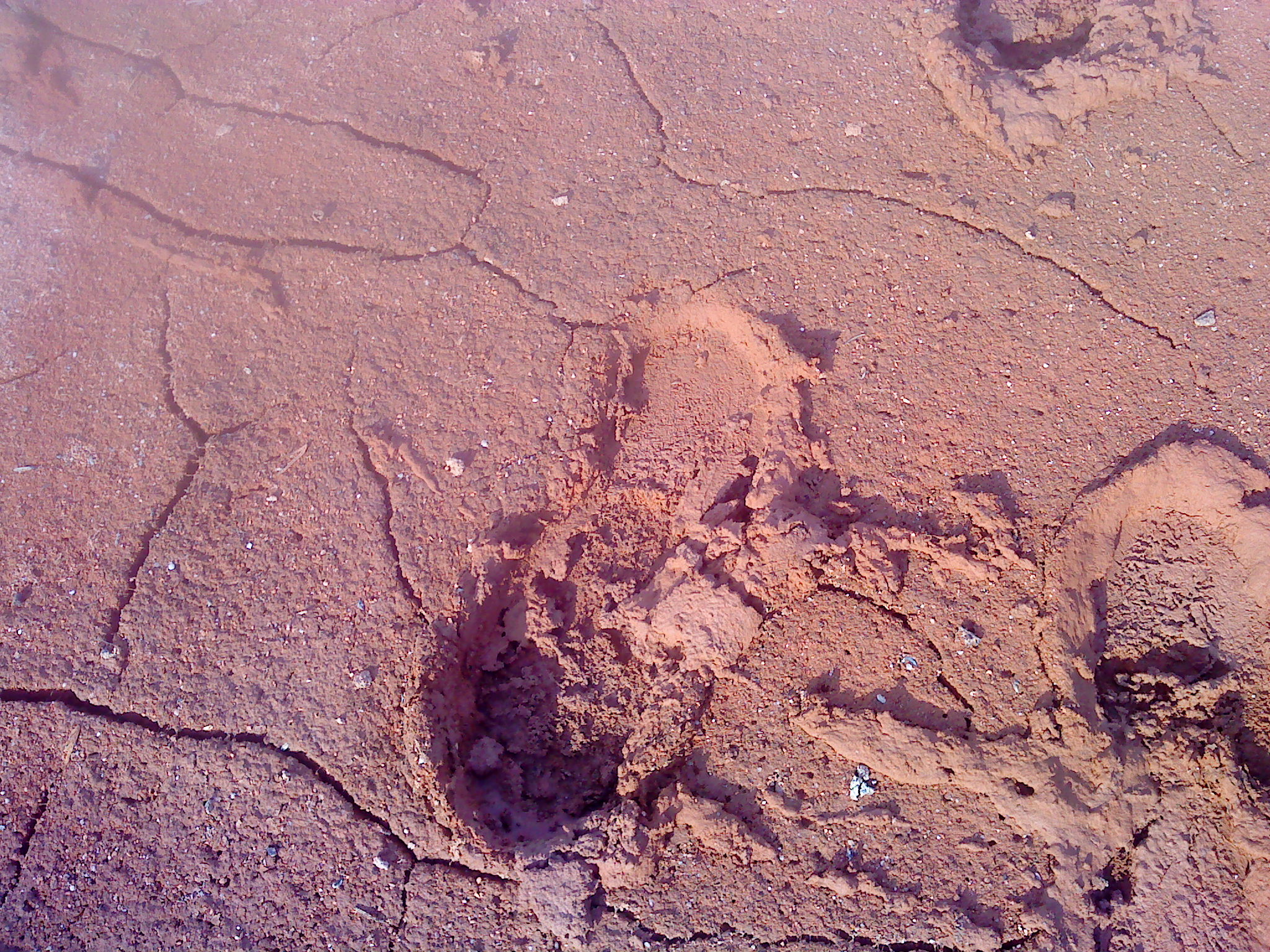DSC00941